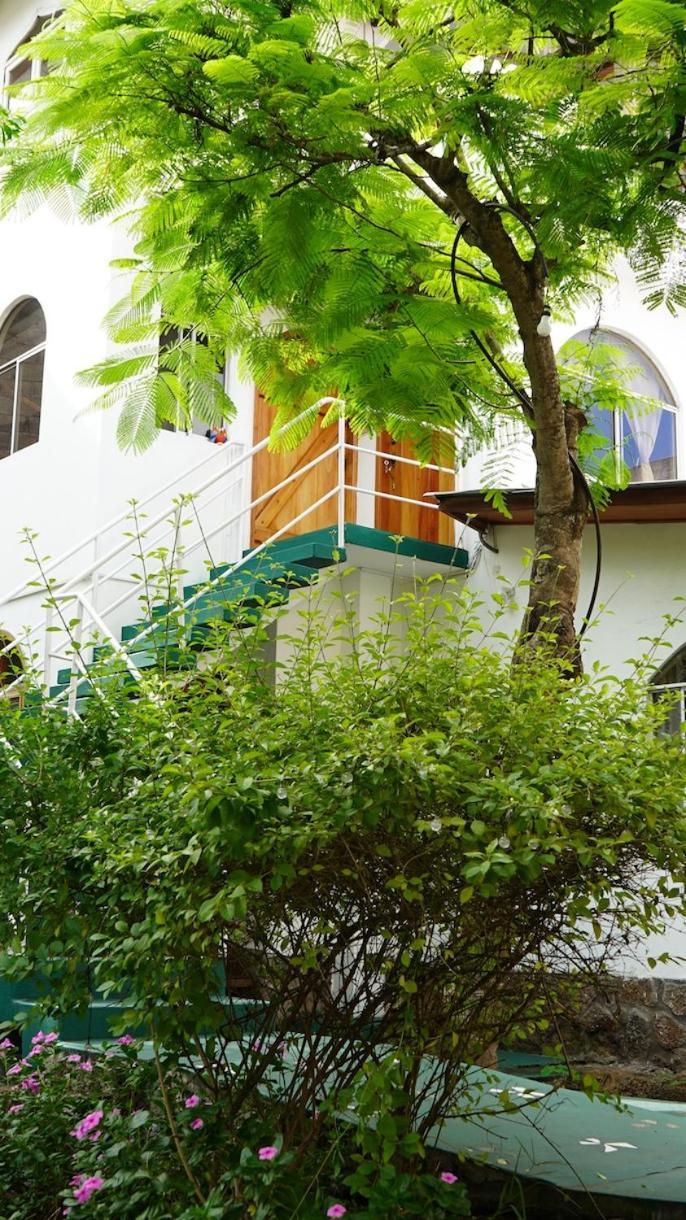 The Finch House